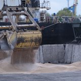 Des ouvriers chargent des céréales dans un port céréalier à Izmail, en Ukraine, en avril dernier (Photo d'illustration).